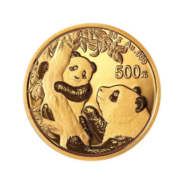 Chińska Panda 30 g Złota 2021