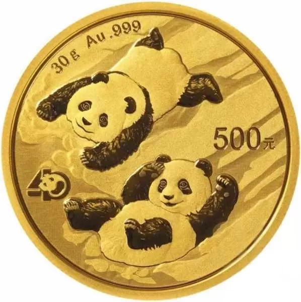 Chińska Panda 30 g Złota 2022