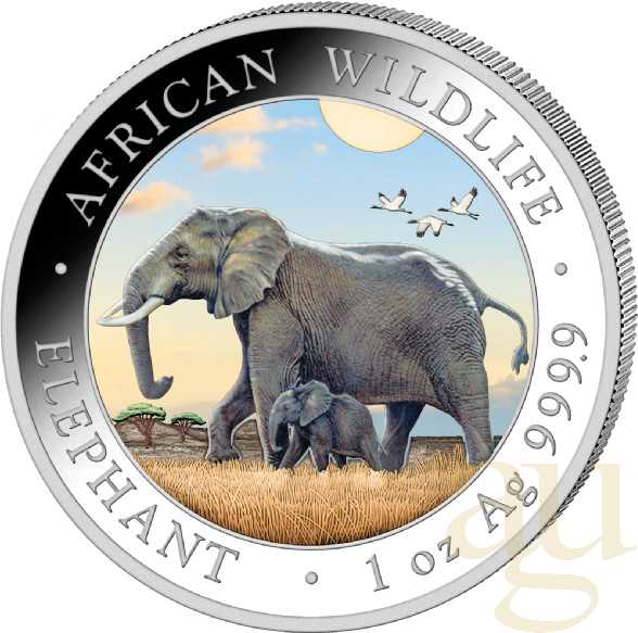 Słoń Somalijski 1 uncja Srebra - African Wildlife 2022 kolorowany