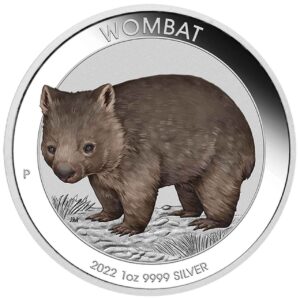 Australijski Wombat 1 uncja Srebra 2022 kolorowany blister