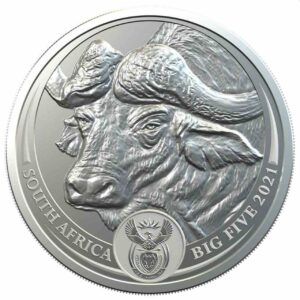 Big Five Buffalo  5 Rand 1 uncja Srebra 2021