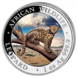 Leopard African Wildlife 1 uncja srebra 2021 Kolorowany