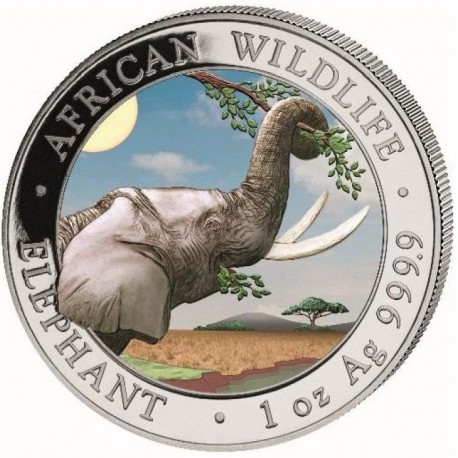 Słoń Somalijski- African Wildlife 1 uncja Srebra 2023 Kolorowany