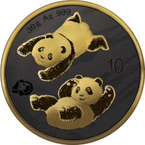 Chińska Panda 30 g Srebra 2022 Golden Night