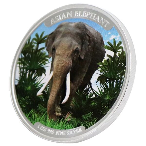 Asian Elephant 1 uncja Srebra 2023 Kolorowany