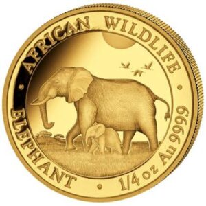 Słoń Somalijski African Wildlife 1/4 uncji złota 2022