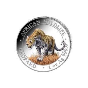 African Wildlife Leopard 1 uncja srebra 2023 Kolorowany