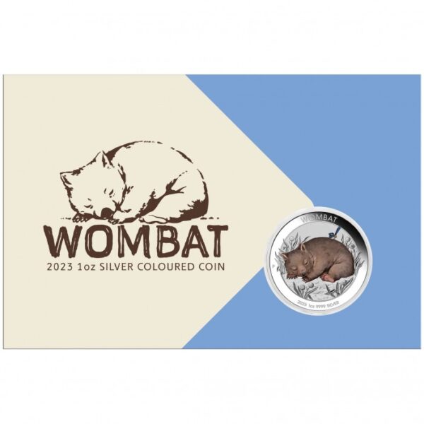 Australijski Wombat 1 uncja Srebra 2023 kolorowany