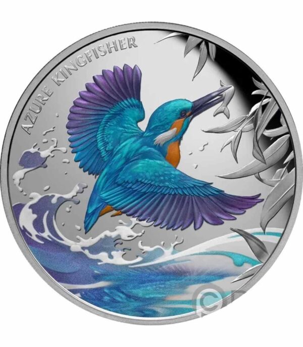 Azure Kingfisher 1 uncja srebra 2023 kolorowany