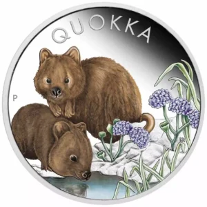 Quokka 1 uncja Srebra 2023 PROOF Kolorowana