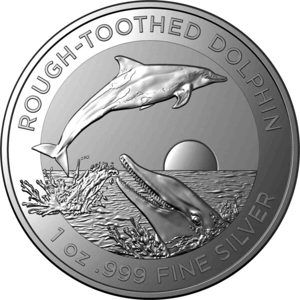 Rough-toothed Dolphin 1 uncja Srebra 2023