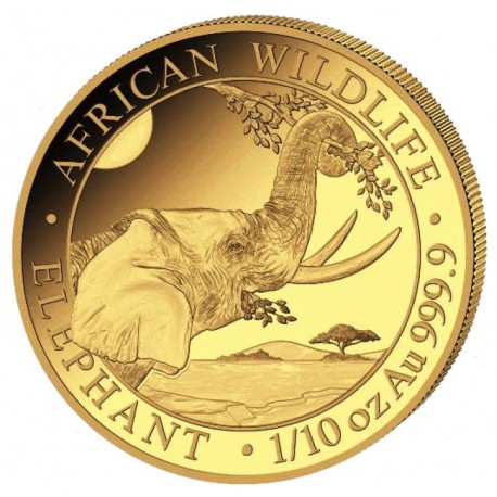 Słoń Somalijski African Wildlife 1/10 uncji złota 2023