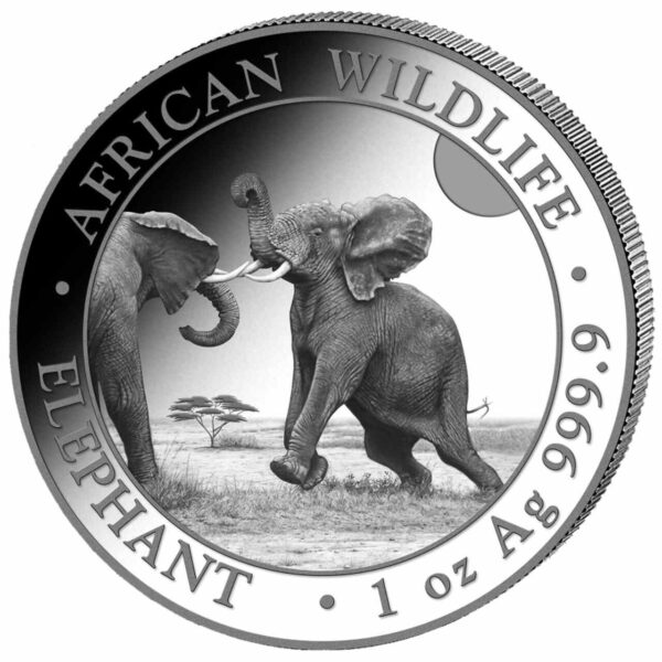 Słoń Somalijski African Wildlife 1 uncja Srebra 2024