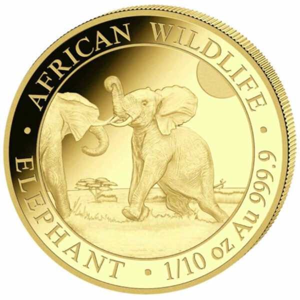 Słoń Somalijski African Wildlife 1/10 uncji złota 2024