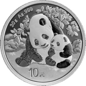 Chińska Panda 30 g srebra 2024