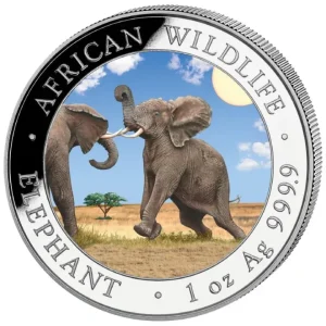 Słoń Somalijski African Wildlife 1 uncja Srebra 2024 Kolorowany