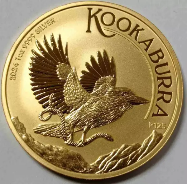 Kookaburra 1 uncja srebra 2024 Pełne złocenie