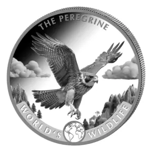 Peregrine Falcon World's Wildlife 1 uncja Srebra 2024