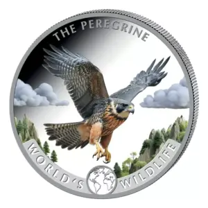 Peregrine Falcon World's Wildlife 1 uncja Srebra 2024 Kolorowany
