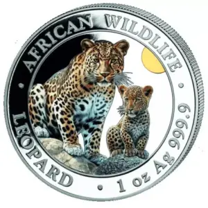 African Wildlife Leopard 1 uncja srebra 2024 Kolorowany