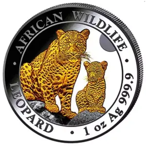 African Wildlife Leopard 1 uncja srebra 2024 Pozłacany