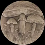 Magic Mushroom 2 uncje Srebra 2025 High Relief