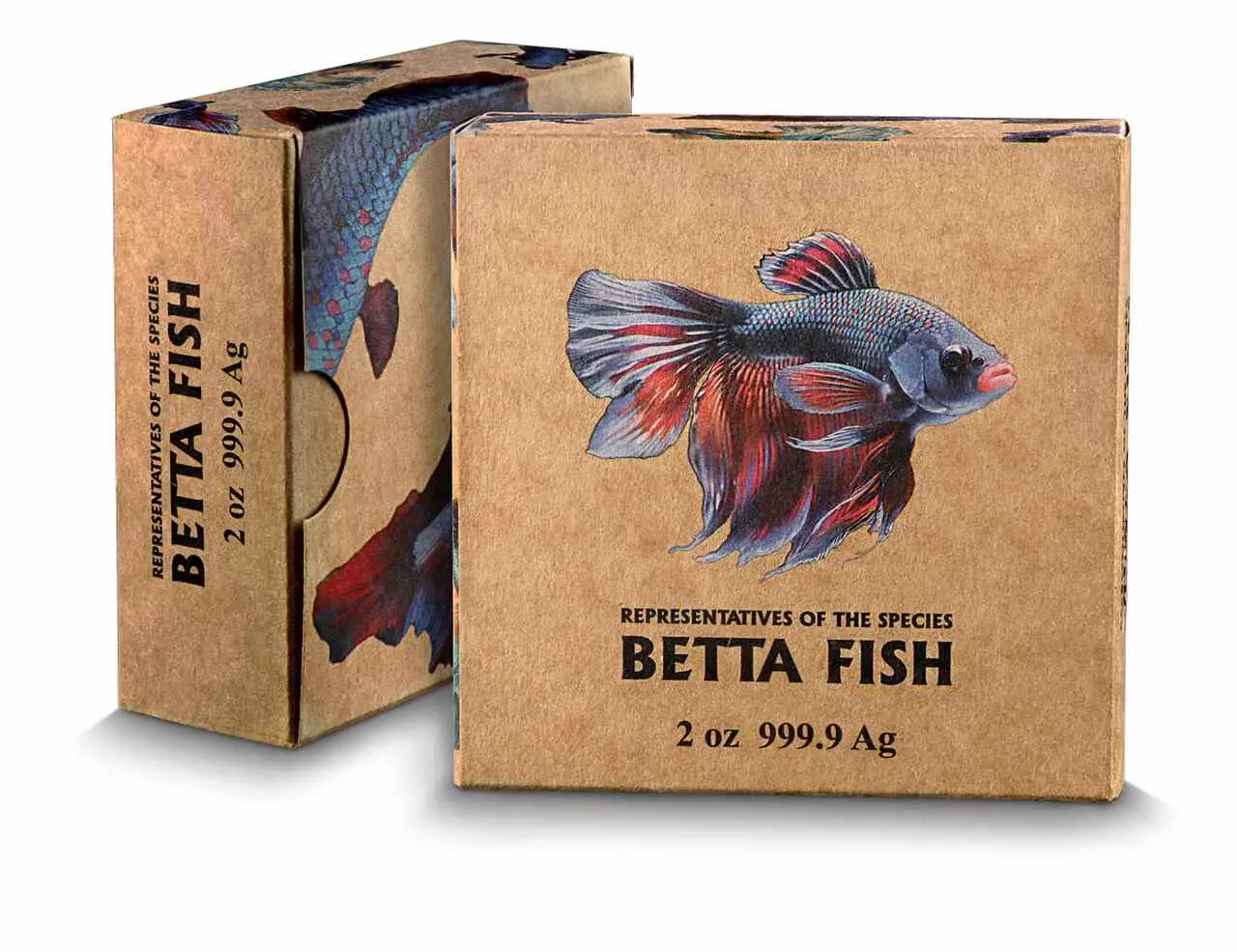 Srebrna moneta Betta Fish Representatives of the Species 2 uncje srebra 2024 HR - obrazek 4