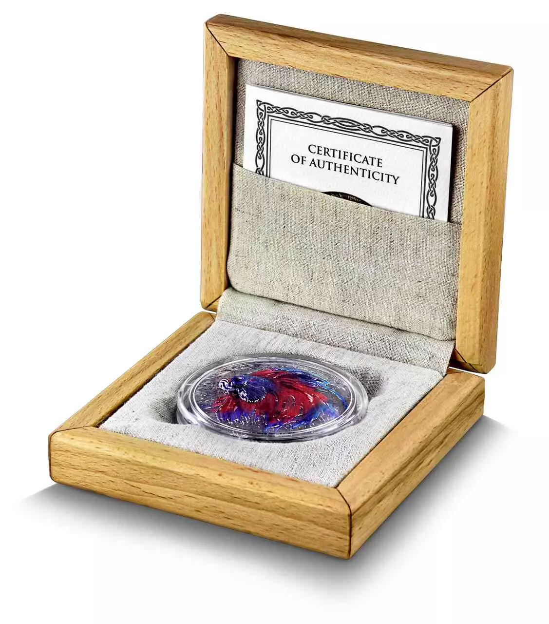 Srebrna moneta Betta Fish Representatives of the Species 2 uncje srebra 2024 HR - obrazek 3