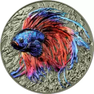 Srebrna moneta Betta Fish Representatives of the Species 2 uncje srebra 2024 HR