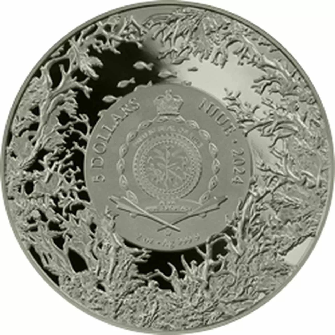 Srebrna moneta Betta Fish Representatives of the Species 2 uncje srebra 2024 HR - obrazek 6