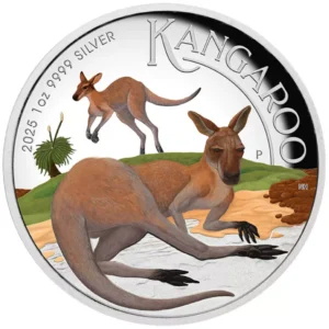 Srebrna moneta Australian Kangaroo 1 uncja srebra 2025 PROOF Coloured