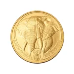 Złota moneta South Africa Słoń Big Five 1 uncja złota 2025