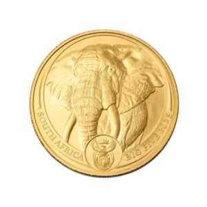 Złota moneta South Africa Słoń Big Five 1 uncja złota 2025
