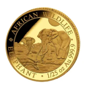 Złota moneta Słoń Somalijski African Wildlife 1/25 uncji Złota 2026
