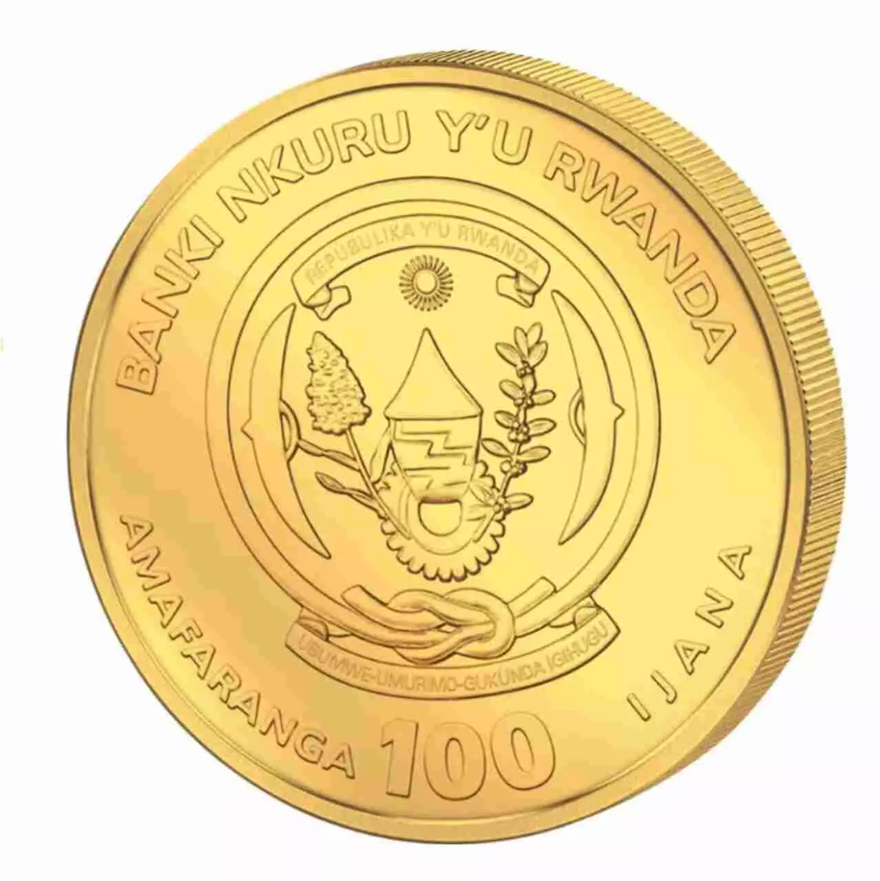 Złota moneta Rwanda Year of Horse 1/12 uncji złota 2026 - obrazek 2