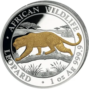 Srebrna moneta Leopard African Wildlife 1 uncja srebra 2026 Pozłacana